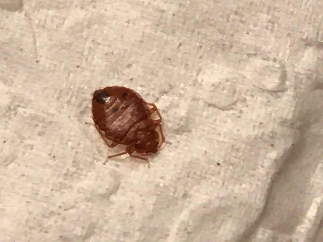 Parkview Getaways主图