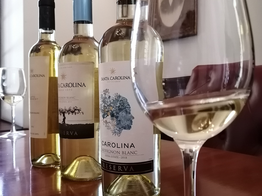 Vina Santa Carolina-圣地亚哥必去景点