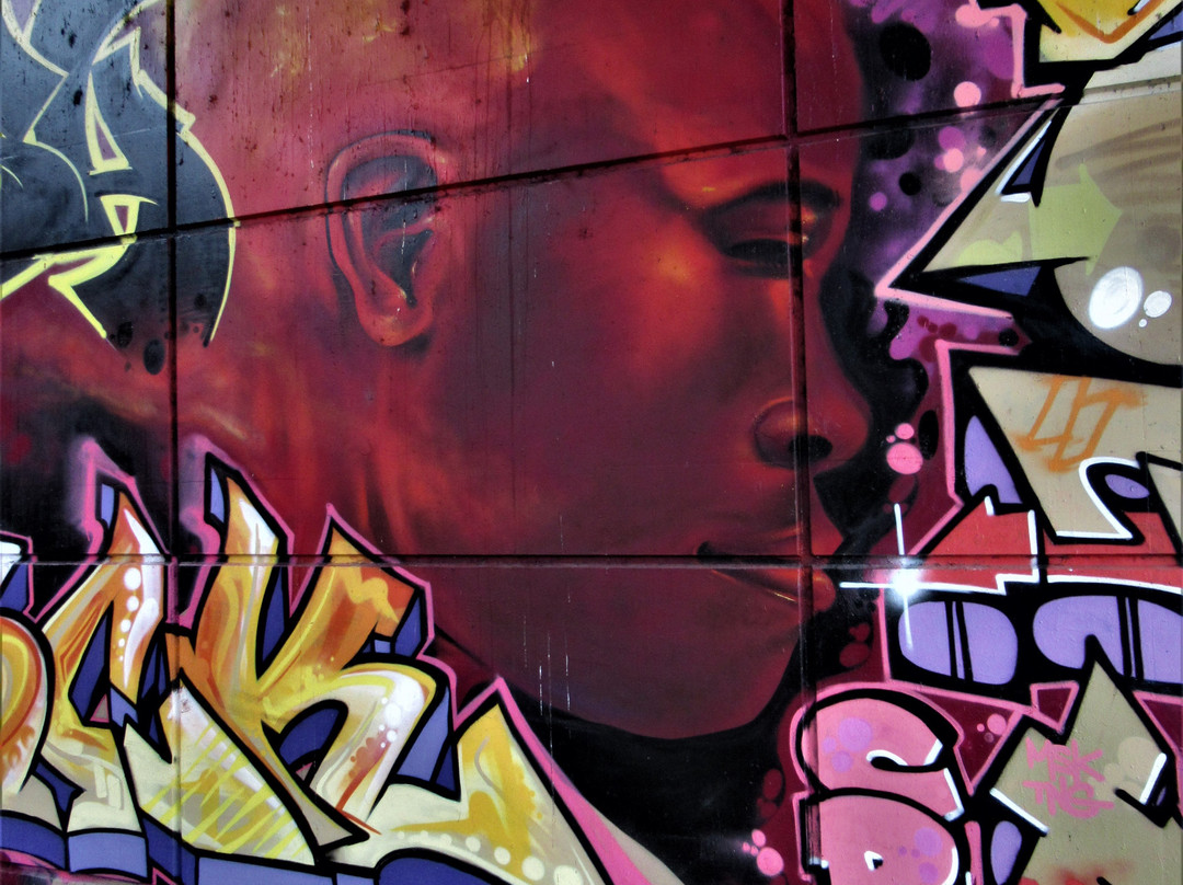 Fresque "Profile rouge"景点图片