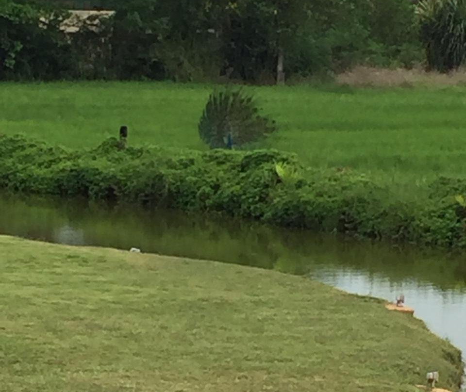 齐塔拉度假村主图