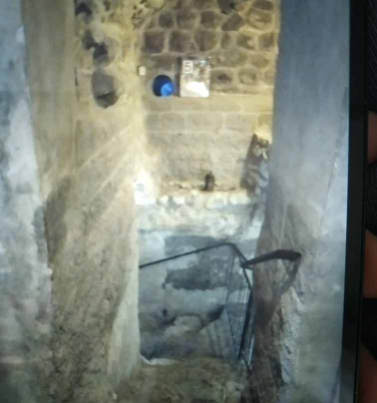 Livnot U'Lehibanot Tzfat Visitors Center-萨法德必去景点