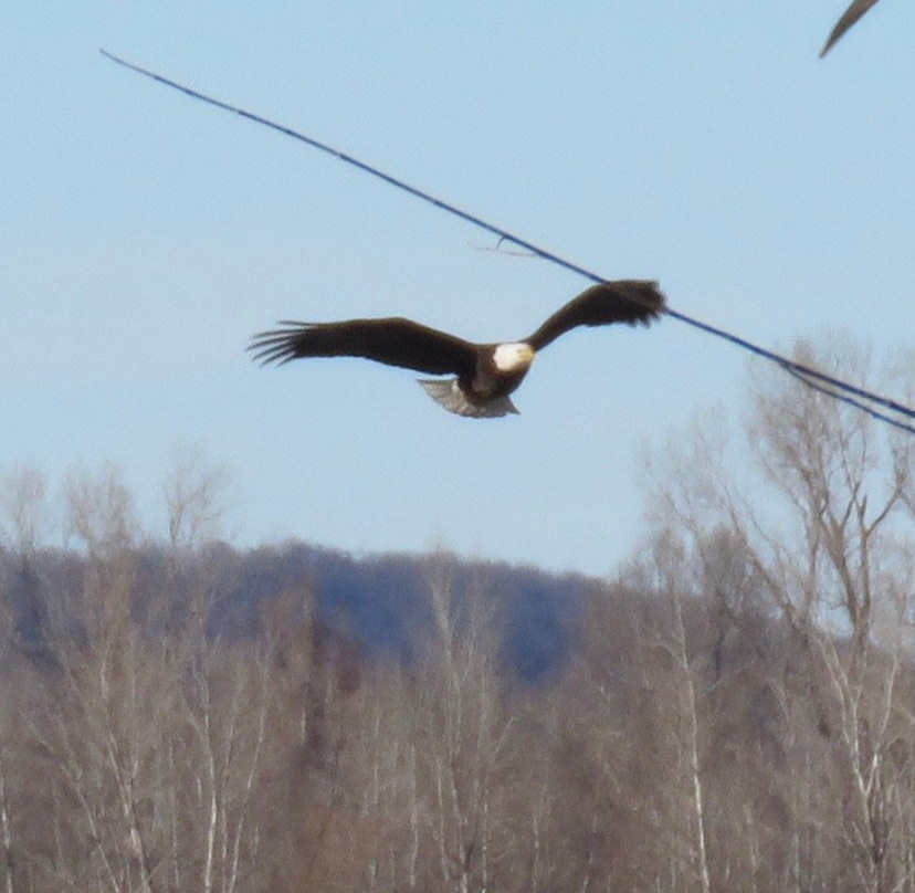 Sequoyah National Wildlife Refuge-Vian必去景点