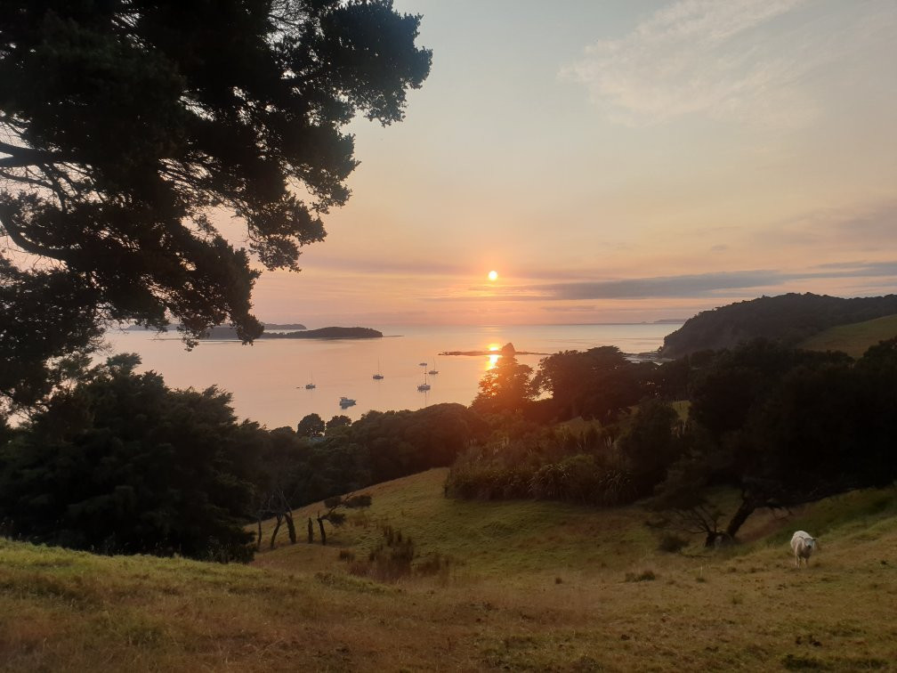Mahurangi Regional Park-瓦卡沃夫必去景点