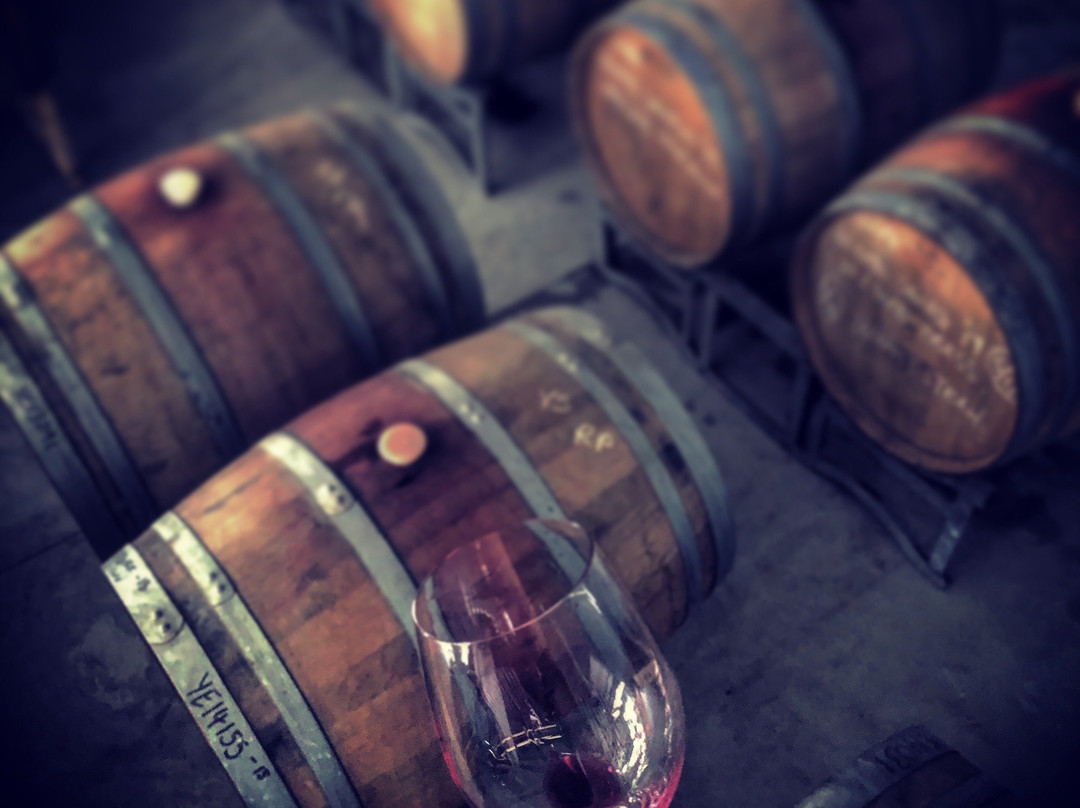 Musk Lane Wine-凯尼顿必去景点