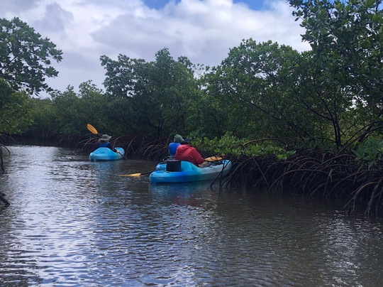 Waterway Adventures-好莱坞必去景点