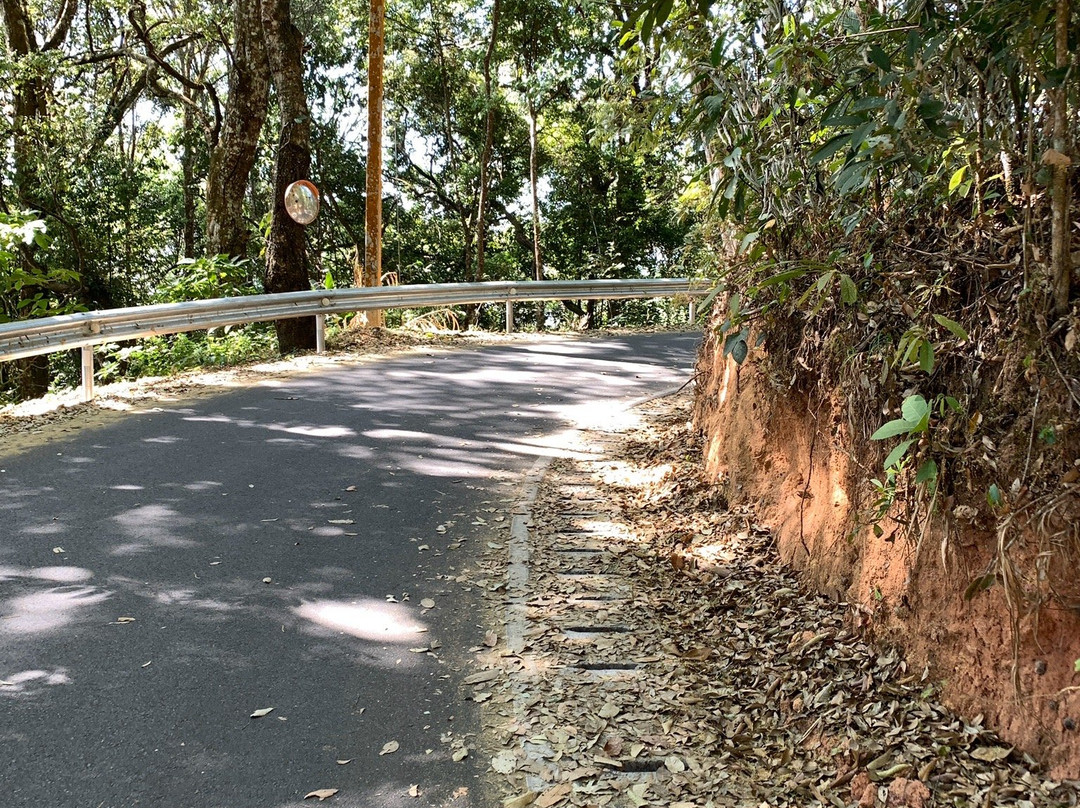 Doi Pui View Point-Su Thep必去景点