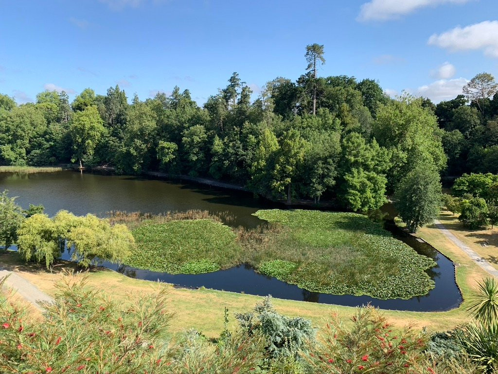 Hidden Lake Hotel and Apartments主图