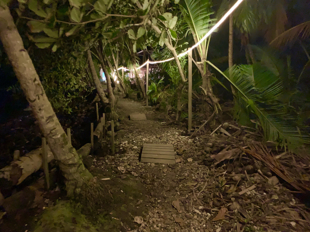 The Firefly Bocas Del Toro主图