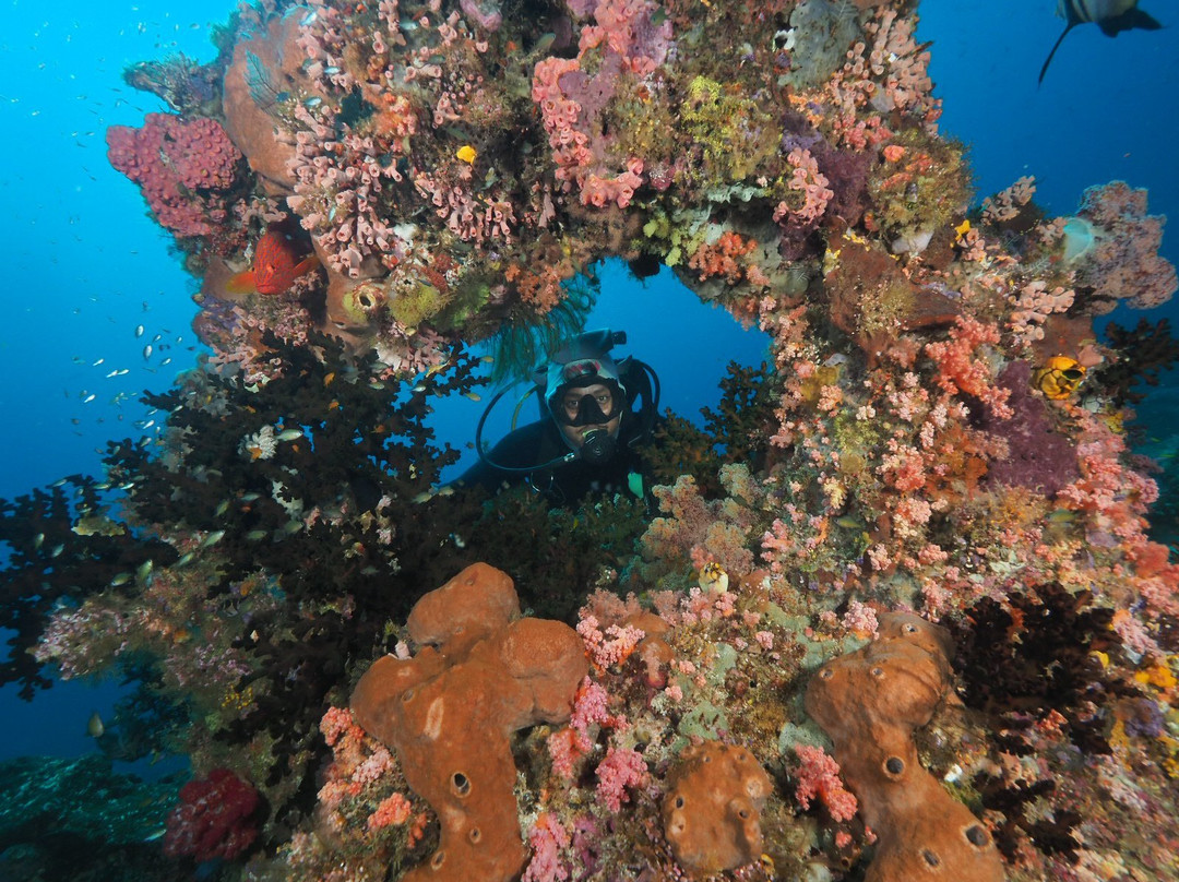 Raja Ampat Dive Center-Gam Island必去景点