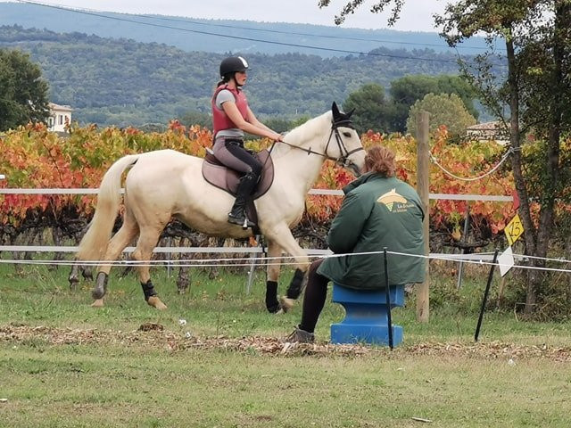 Domaine Equestre des Archanges景点图片