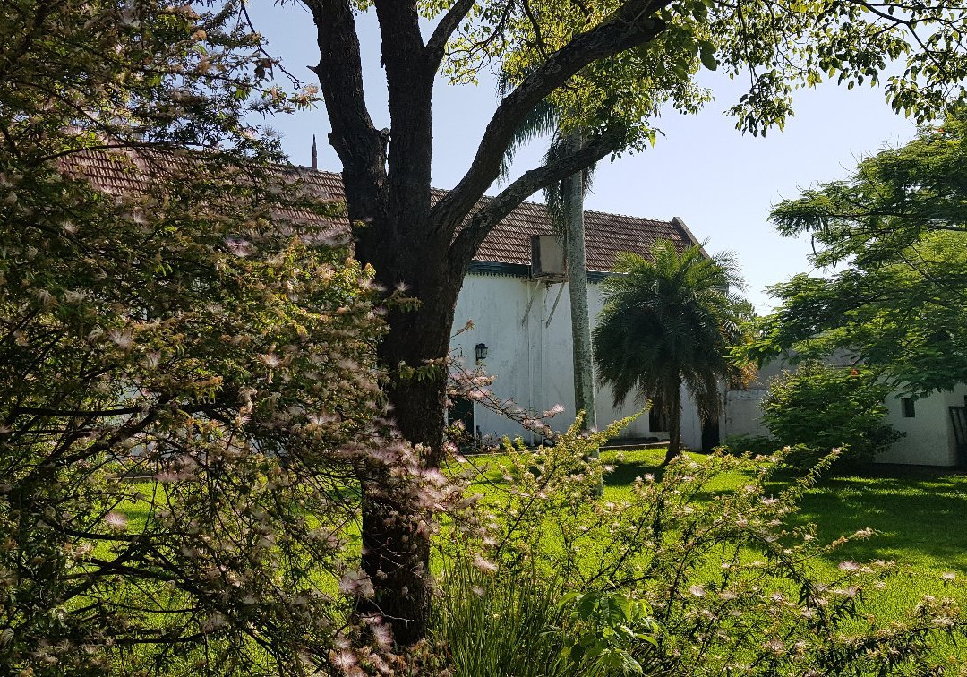 La Casa de China主图