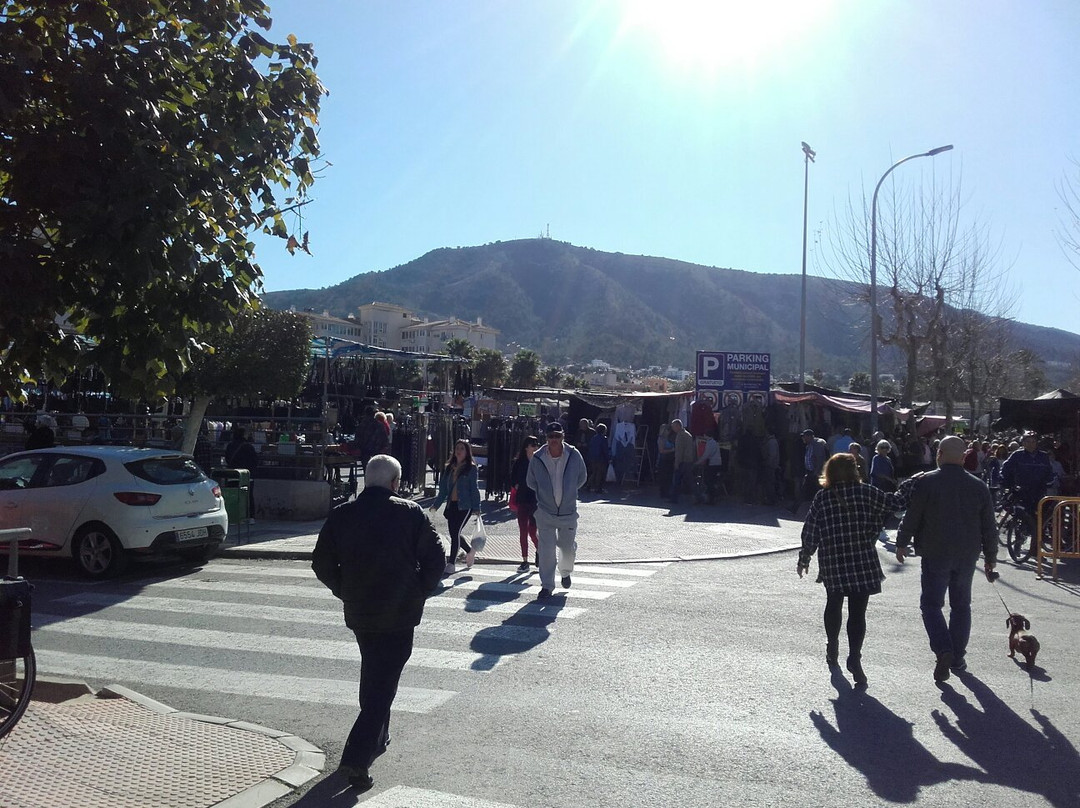 Albir Local Market景点图片