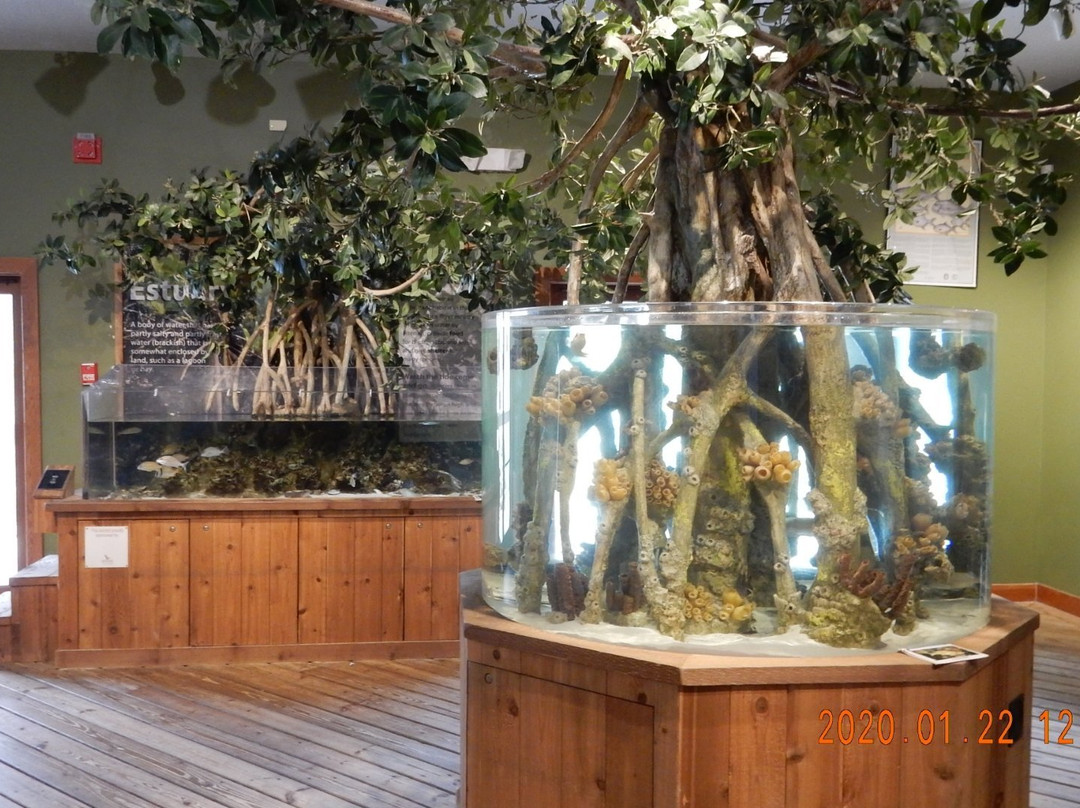 The Loxahatchee River Center-朱庇特必去景点