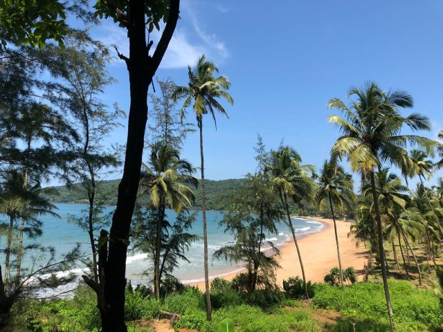 Ravi Yoga Retreat Goa-官方