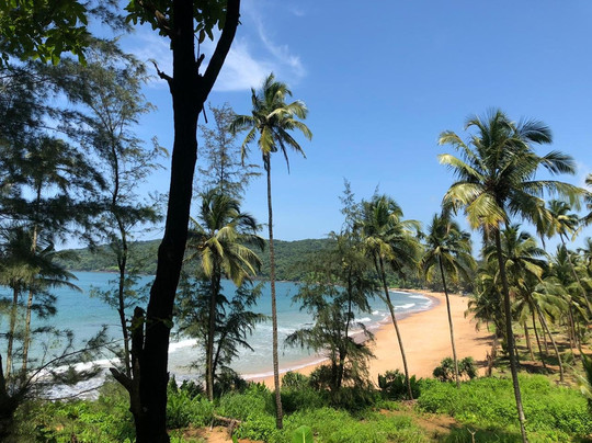 Ravi Yoga Retreat Goa主图