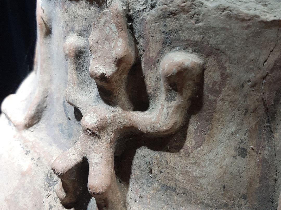 Instituicao Caruanas do Marajo Cultura e Ecologia-Soure必去景点