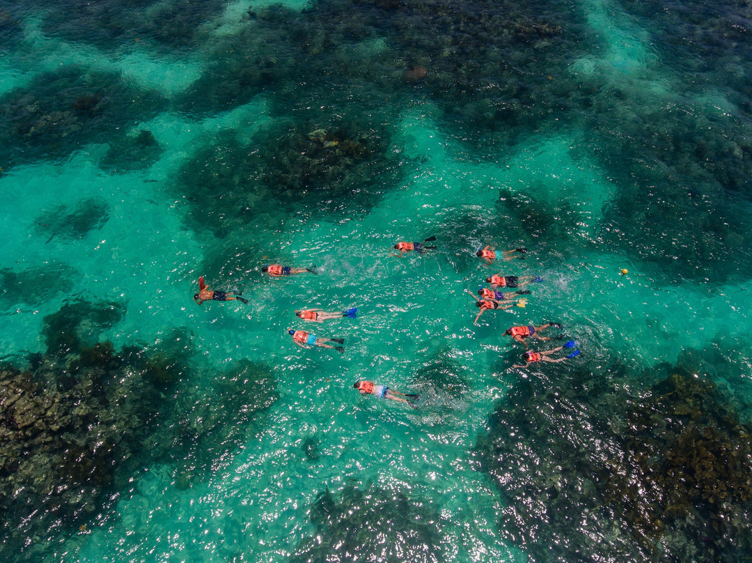 Asterix Contoy Tours-Isla Contoy必去景点