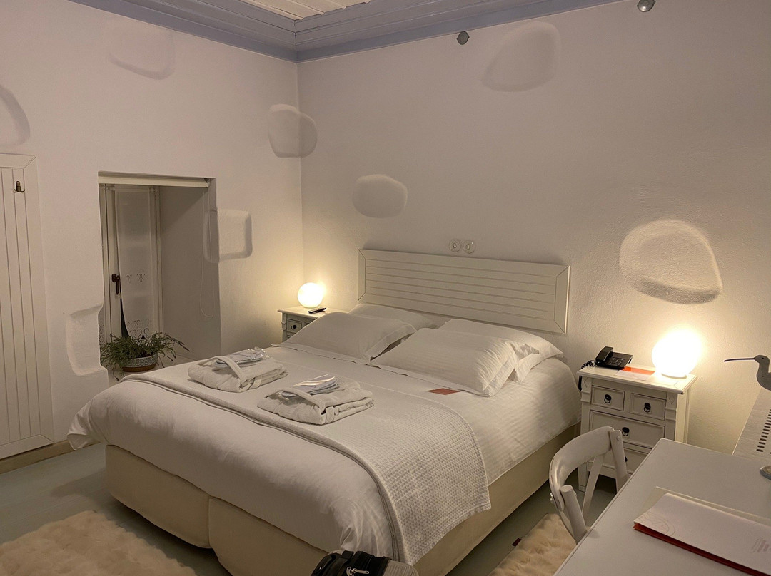 Orologopoulos Mansion主图