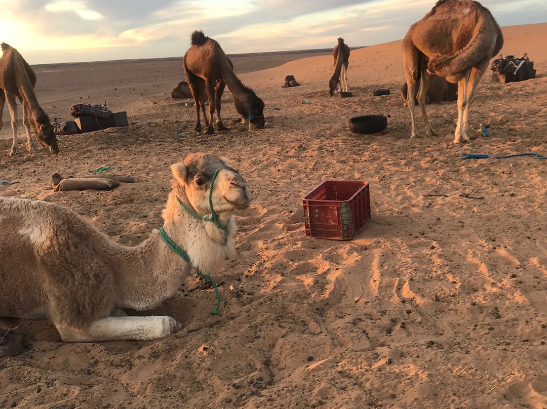 Auberge Sandfisch主图