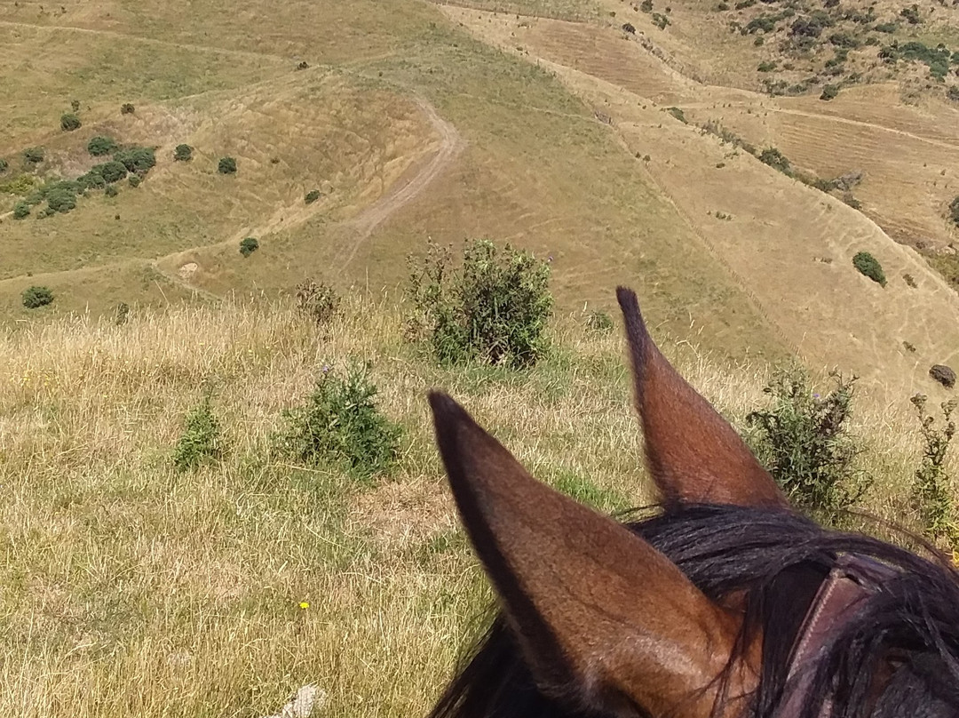 Stone Hill Horse Trek景点图片