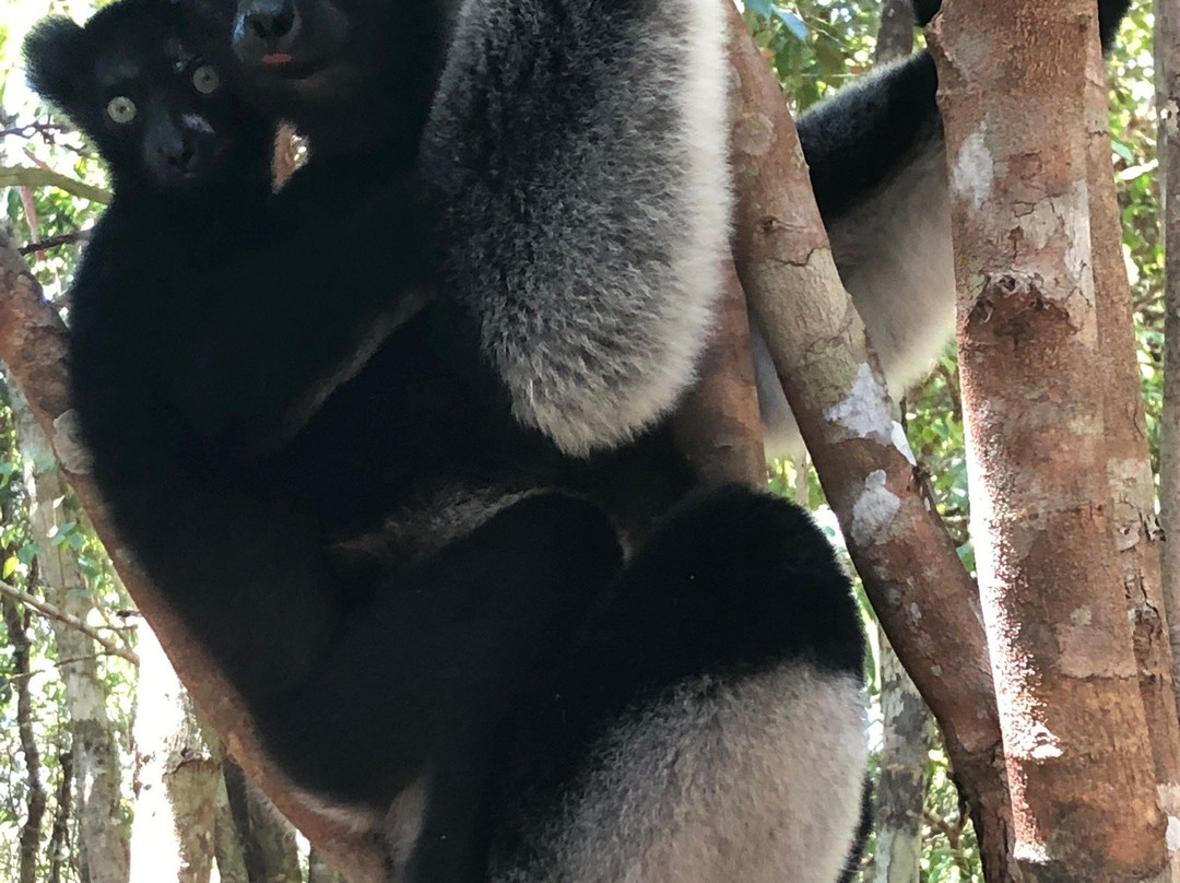 Madagasitsara Travel By Hasina景点图片