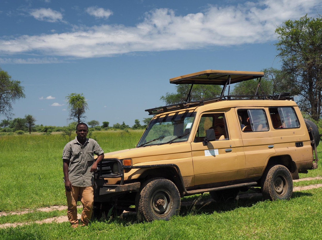 Wildness Safari  Tanzania-Dar es Salaam必去景点