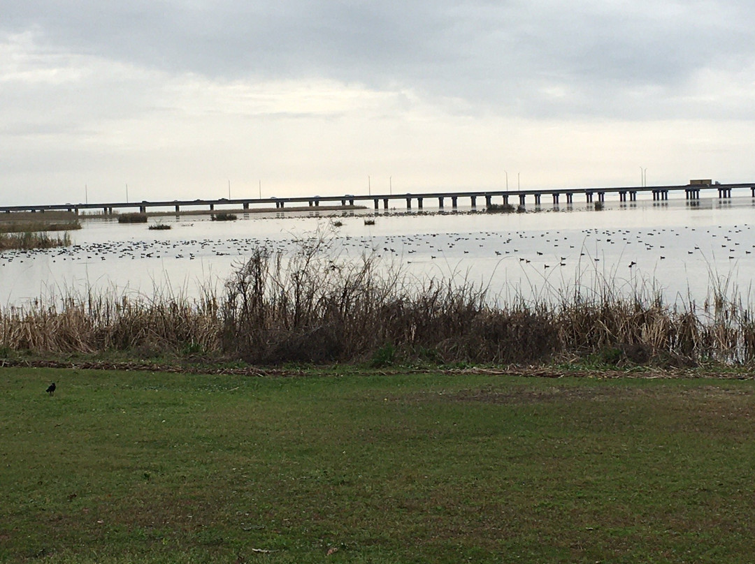 Meaher State Park-Spanish Fort必去景点
