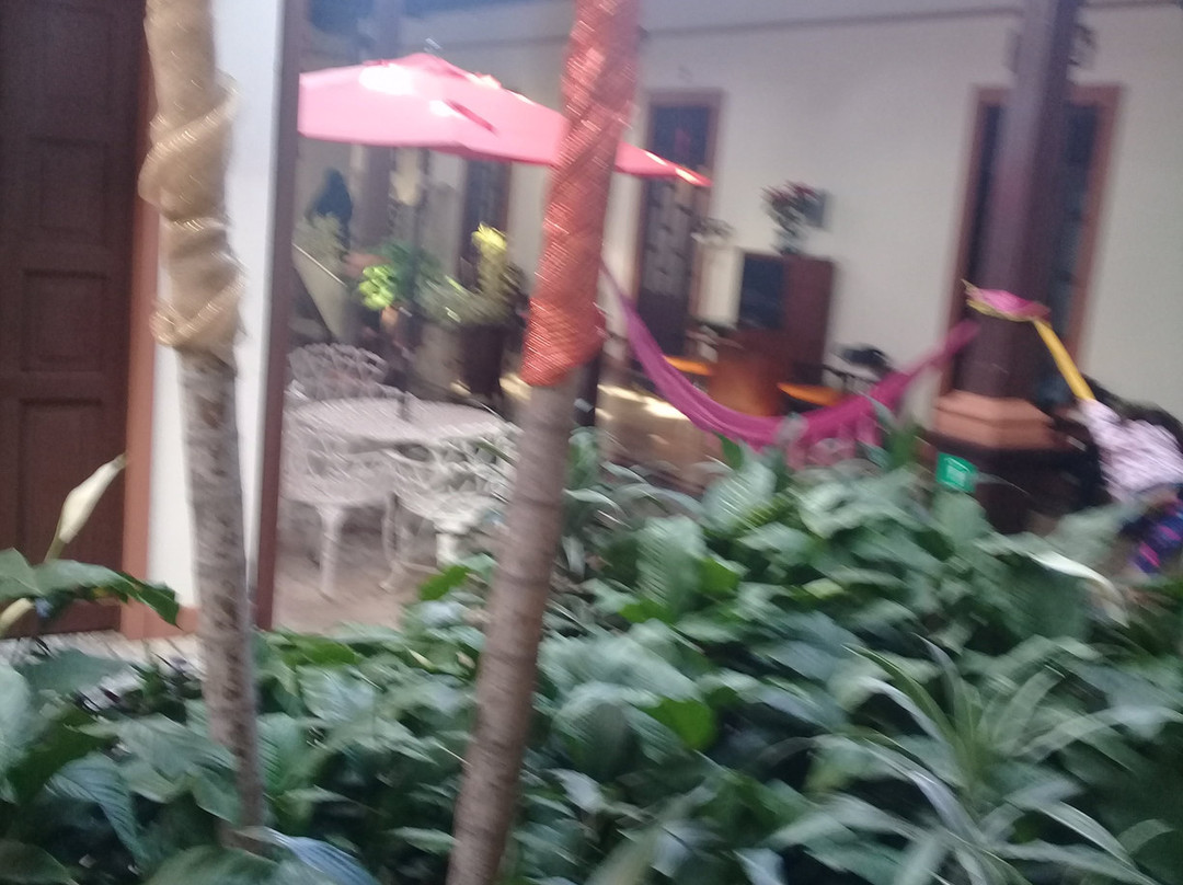 Hotel Villa de Flores主图