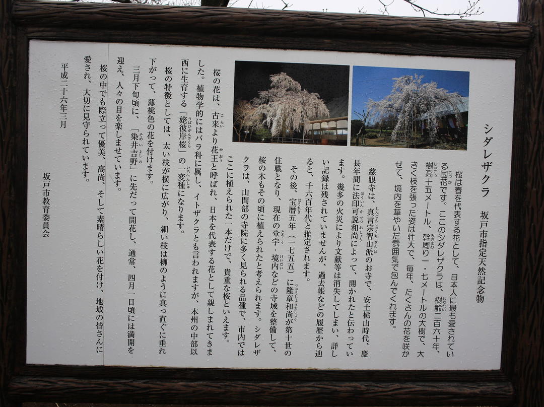 Jigan Ji-Temple-坂户市必去景点