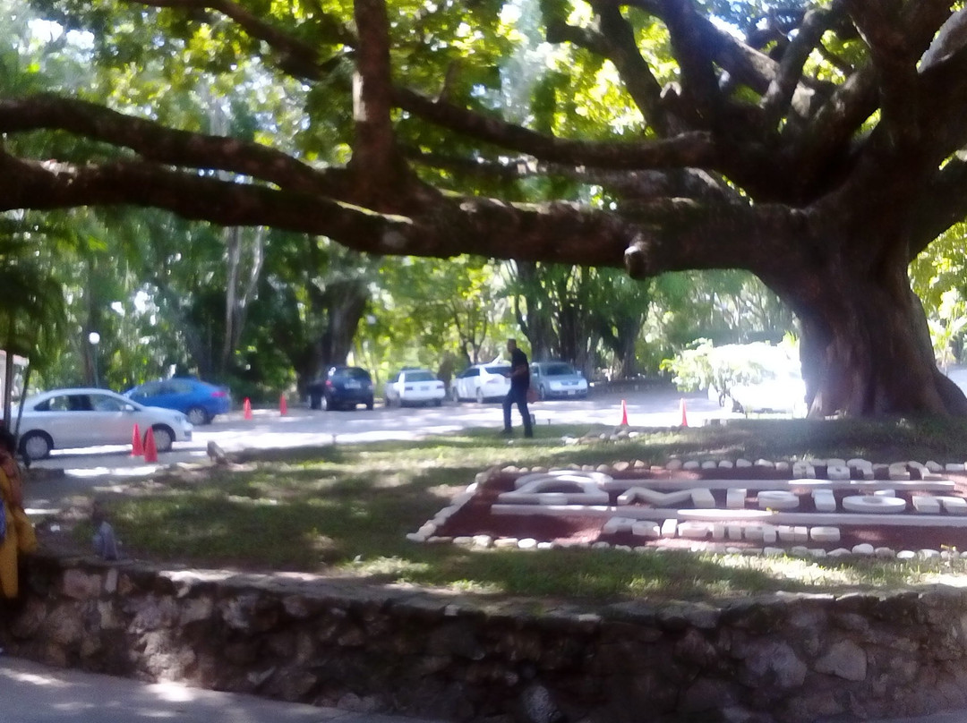 Hotel Misión Palenque主图