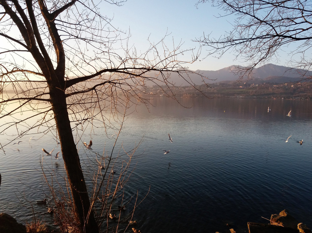 Lago di Pusiano景点图片