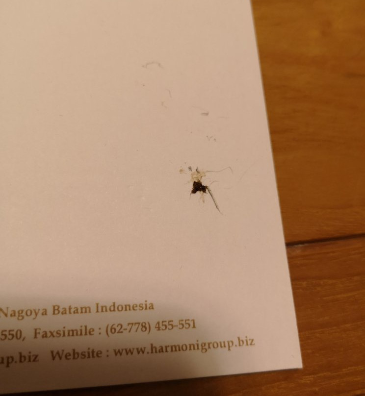 巴淡岛和谐酒店主图