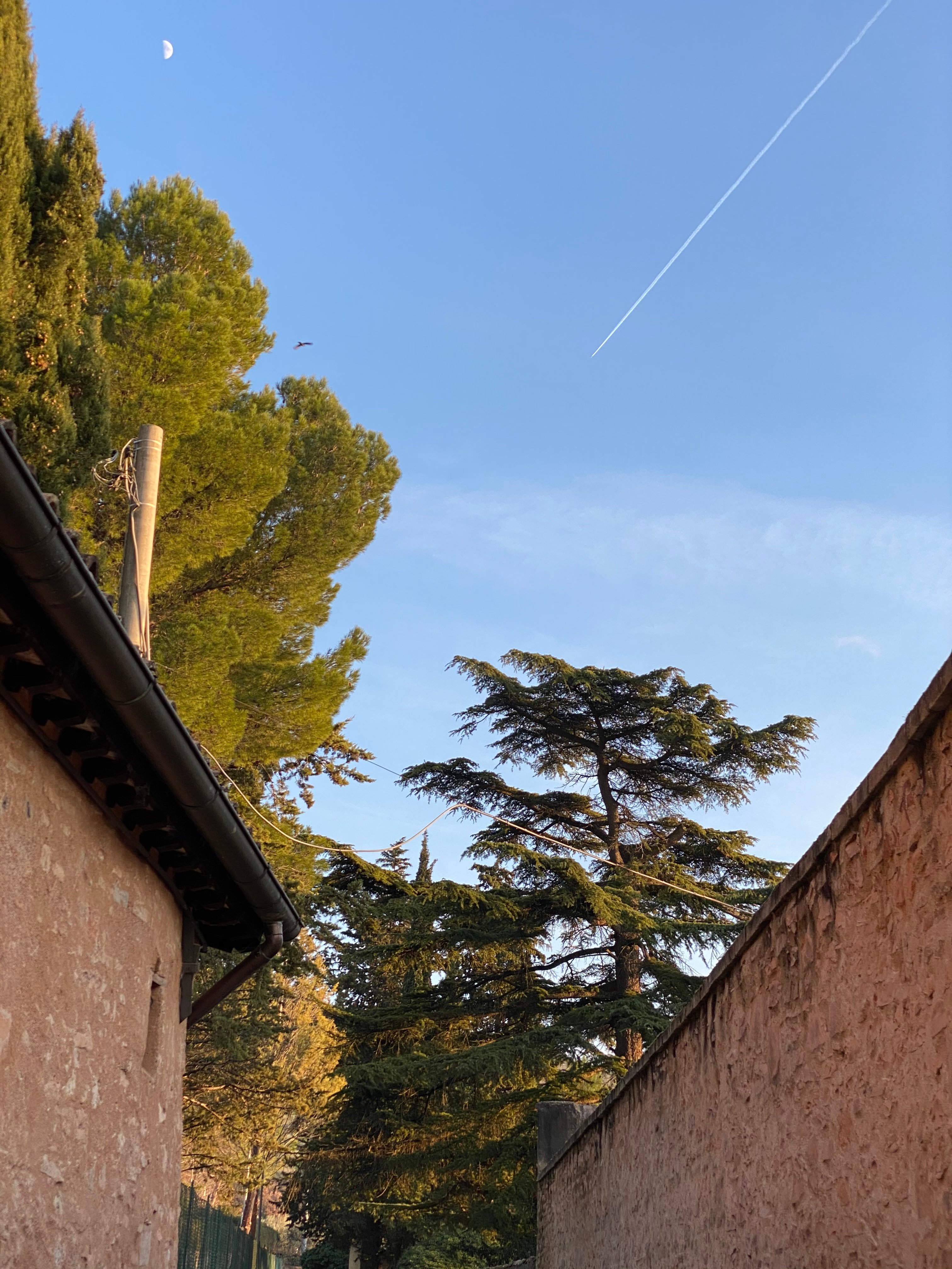 Agriturismo La Maestà-浴室