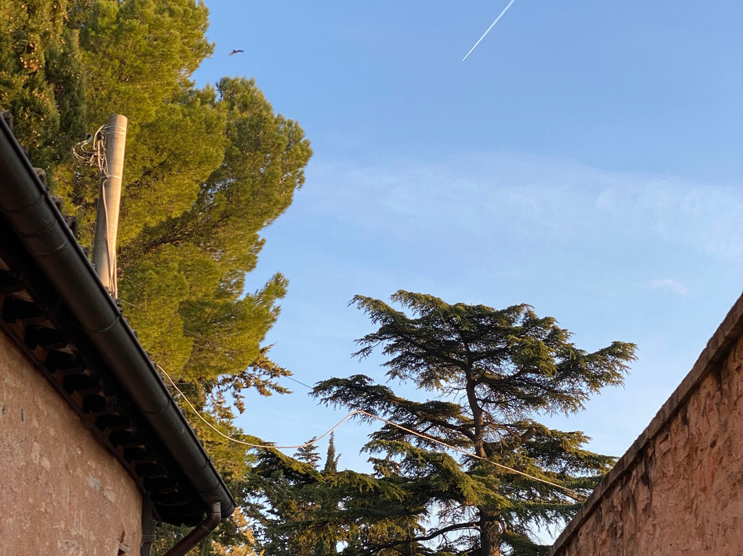 Agriturismo La Maestà主图