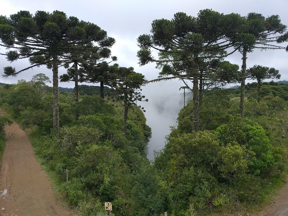 Itaimbezinho Canyon景点图片