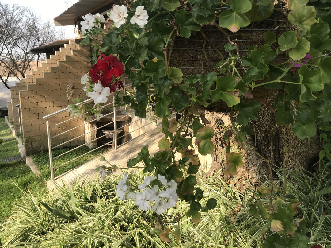 Hills & Dales Accommodation主图