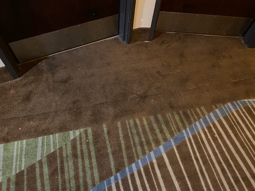 Comfort Suites Harvey - New Orleans West主图