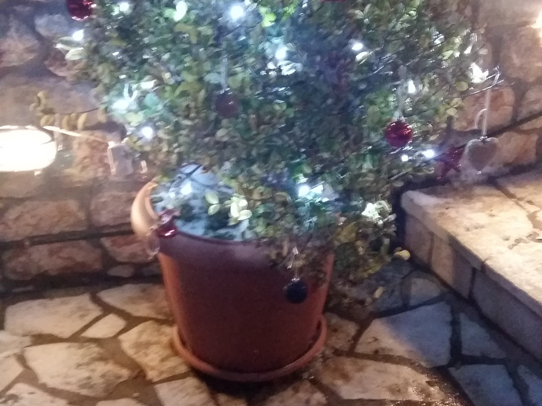 Thea Valtsenikou主图