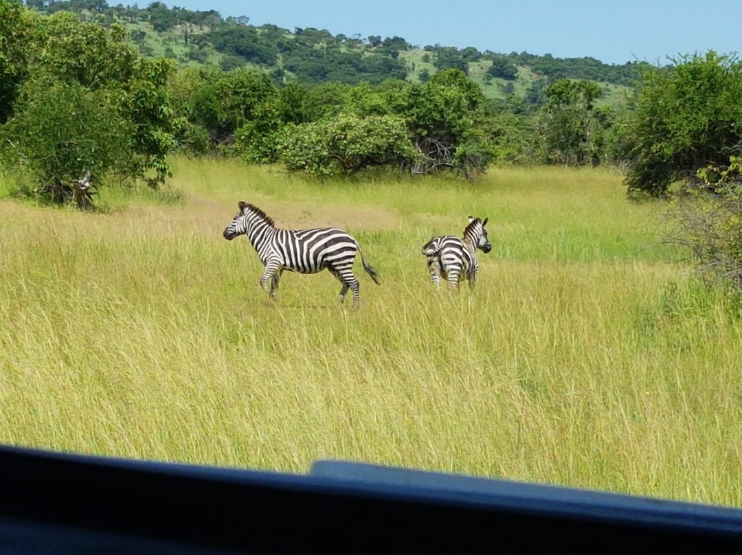 A Step Into Nature Tours-吉佳利必去景点