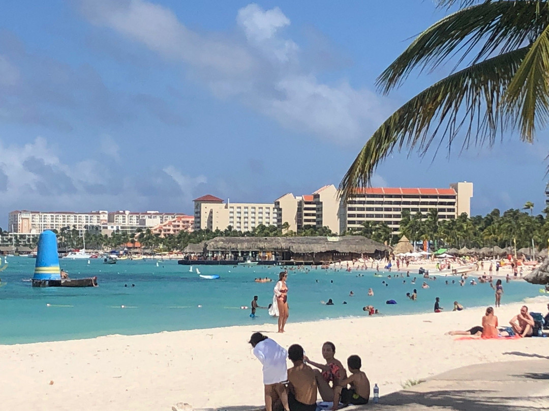 Private Island Tours Aruba-奥腊涅斯塔德必去景点