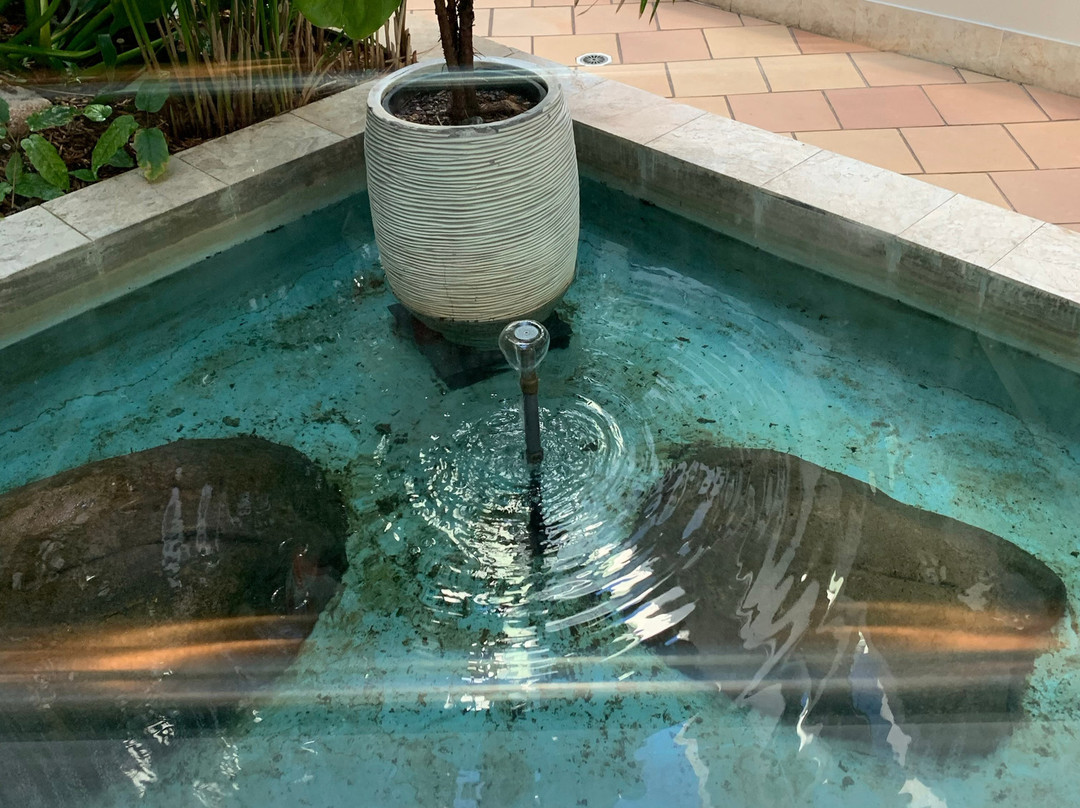 中庭度假村酒店主图