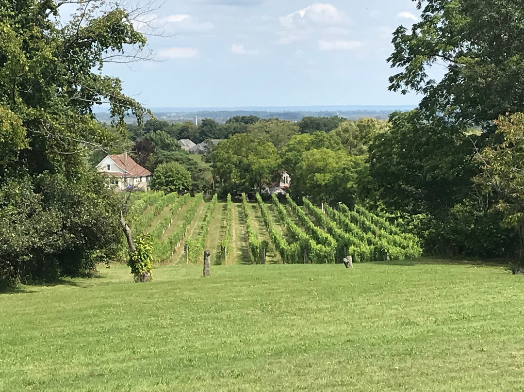 Kew Vineyards Estate Winery景点图片