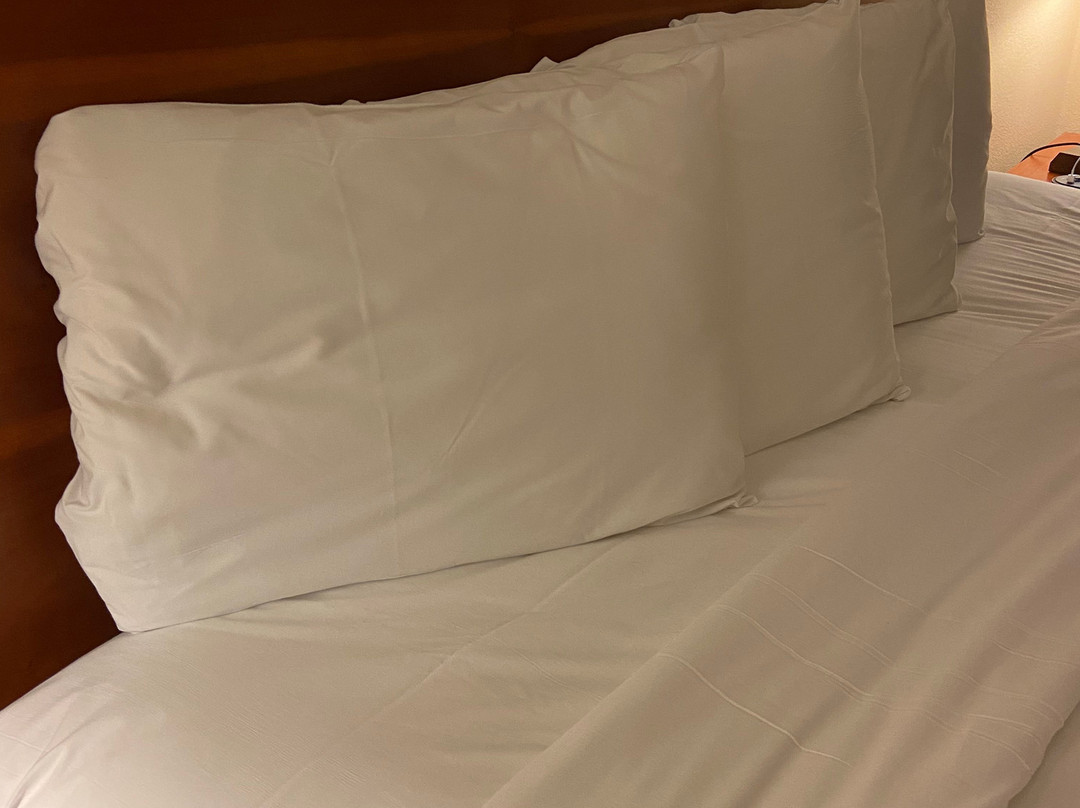 Ramada by Wyndham Sparta/At Speedway主图