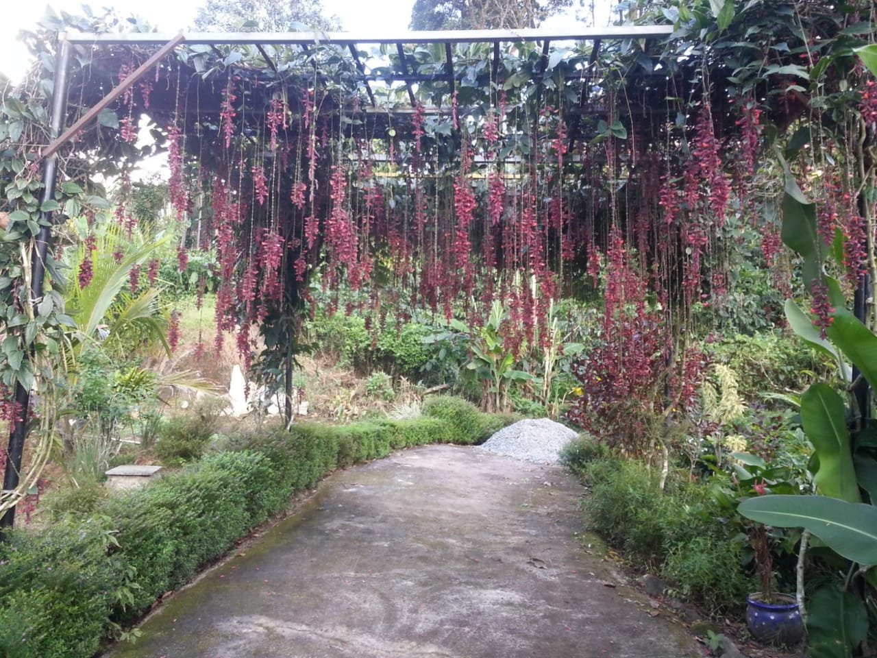 Amritasthanam Guest House and Retreat-官方