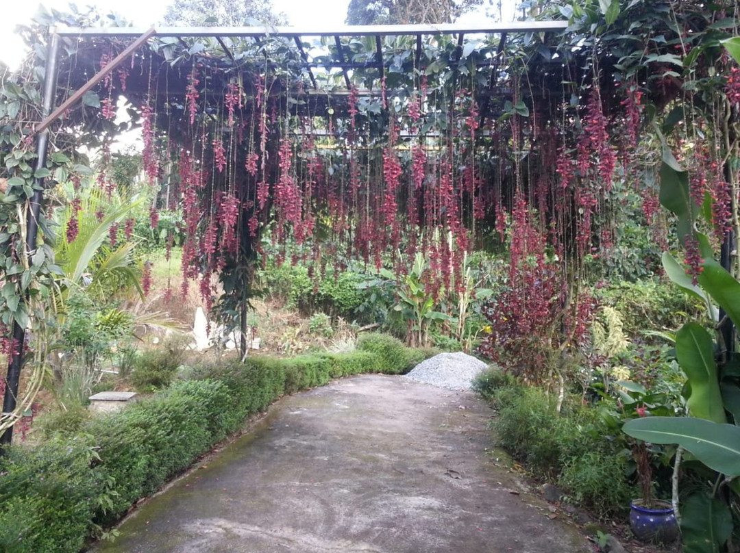 Amritasthanam Guest House and Retreat主图