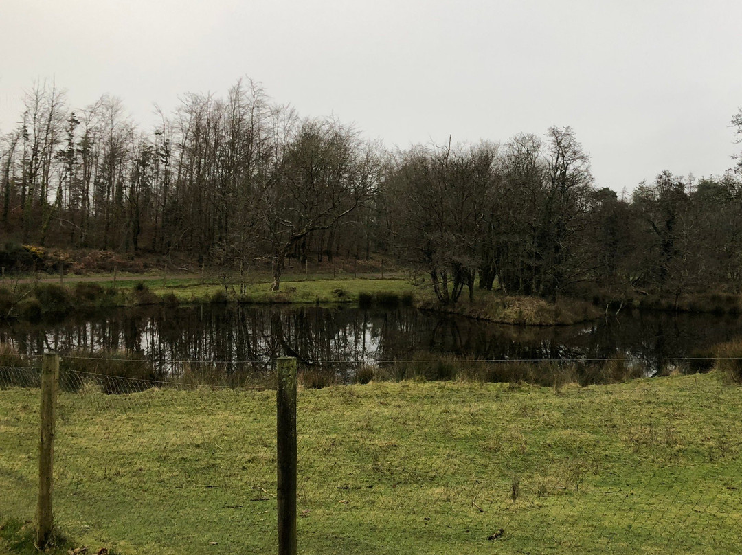Farran Forest Park-Macroom必去景点