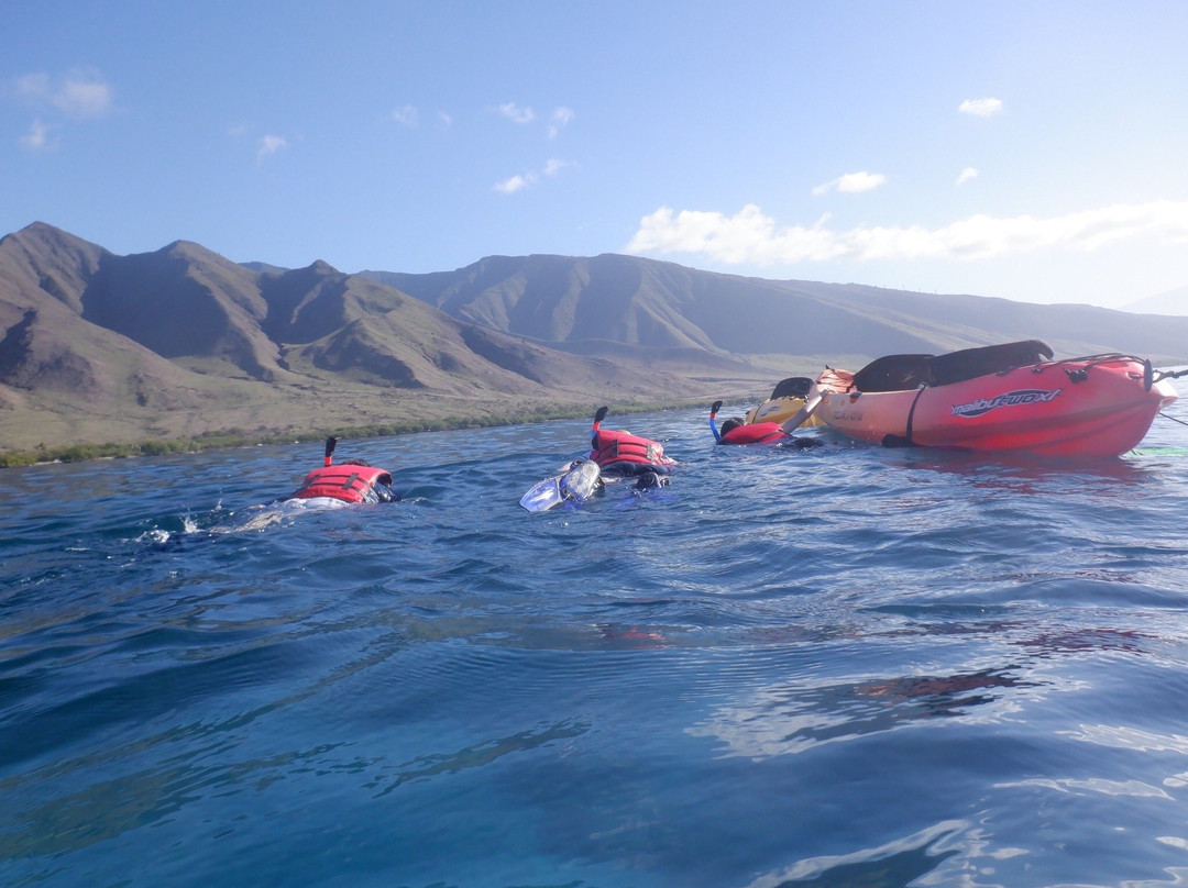 Maui Kayak Adventures景点图片
