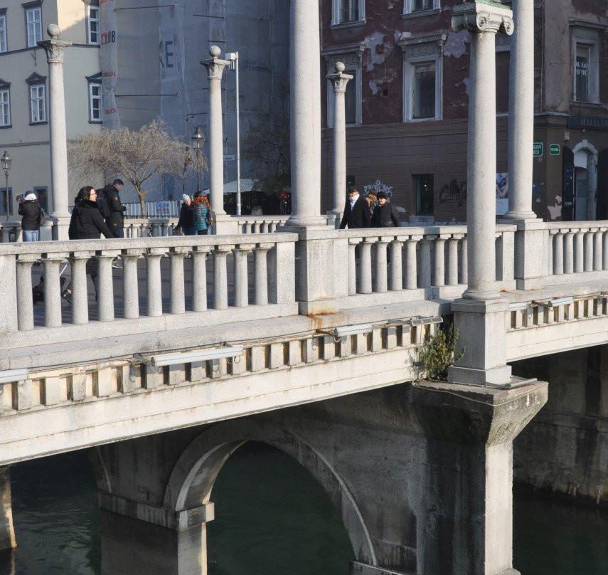 Shoemaker's Bridge (Cevljarski Most)-卢布尔雅那必去景点