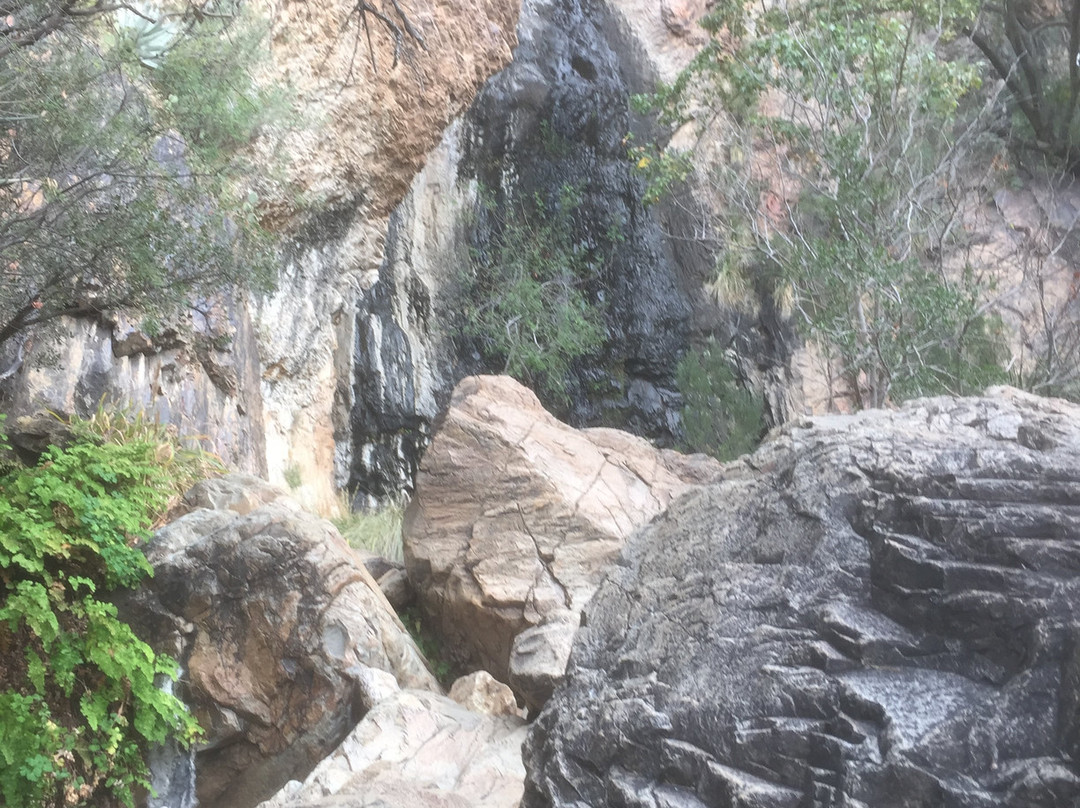 Cattail Falls Trail景点图片