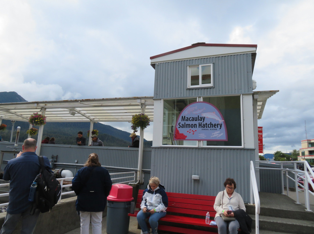 Dipac's Macaulay Salmon Hatchery-朱诺必去景点